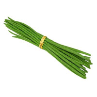 Drumstick