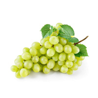Green Seedless Grapes